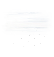 Image des prévisions météorologiques