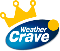logo VIP